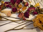Assorted Dried Flowers  Mixed Color Rose Assorted Flower Stems Petals Hydrangea
