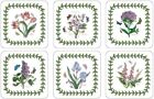 Pimpernel Botanic Garden Collection Cork-backed Board Coasters  4 In - Set Of 6
