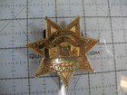 Junior Deputy Sheriff Carroll County Maryland Gold Plastic Badge  free Shipping 