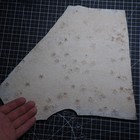 Large 380mm Saccocoma Pectinata Fossil Plate Solnhofen Germany Jurassic