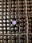 Lipsense By Senegence  Liquid Lip Color 0 25 Fl Oz-pink Champagne   Lot Of 5  