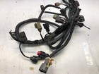 2005 Ford F150 Engine Wiring Harness 5 4l 3-valve A t Crew Cab 139  Federal 2wd
