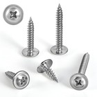  8 X 1 Inch Wood Screws Phillips Modified Truss Head  60pcs  304 Stainless Steel