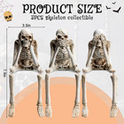 3 No Evil Skeleton Figurines Halloween Statues bone White   Realistic Sitting Sk