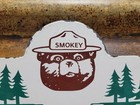 Vintage Smokey Bear Porcelain Sign Old  56 Us Forest Service National Park Fire 