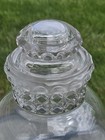 Vintage Tiffin Glass Dakota Apothecary Jar Large Ball Globe Pedestal 12 5  