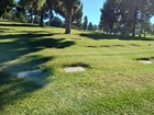 Rose Hills Memorial Park     2 Burial Plots  pinecrest Lawn  Fees Included 