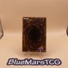 The Winged Dragon Of Ra - Secret Rare Lpst-jp048  - Yugioh Japanese Ocg