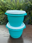 Tupperware Servalier Bowls   Liquid Tight Instant Seals 20oz  Set Of 2 New