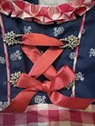 Ramona Lippert Children   s German Dirndl Dress Gingham Floral Blue Pink
