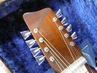 Lap Steel Guitar Megnatone Trubadour