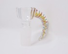14mm Thick Multi-colored Glass Honeycomb Horn Bowl Piece
