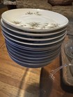 15 Seyei Tea Cup Saucer Plates Cascade Pine 11028 Mcm Lot