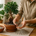 Horticultural Pumice 3 8   1 4 Inch   Natural Soil Amendment For Drainage   Roots