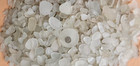 Genuine Beach Sea Glass Lot  white clear Color  16 10 Pounds