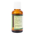 Cucumber Oil Cucumis Sativus Stretch Marks Anti Aging Reduces Wrinkles Acne