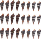 Natural Sea Shells 100pcs Spiral Conch Shell Tiny Ocean Beach Seashells Bulk Bla