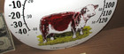 Cow Hereford   --- Vintage --- Thermometer Face Sign 12 -- Farm --- Cattle Ranch