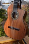 2006 Cordoba Koa Ce - Single Cut Nylon Acoustic Electric - Portugal - Ohsc