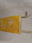 Vintage Felt Caroga Lake New York Pennant Flag