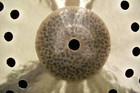Sabian Hhx 16  Complex Aero Crash Cymbal natural Finish brand New model   116xac