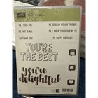 Stampin Up Itty Bitty Greetings  Beautiful You  Better With You Your Delightful 