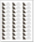 150 Raccoon Cute Mailing Return Address Labels Personalized  1 X 2 5 8 In 