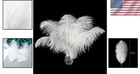 Natural White Ostrich Feathers For Weddings - 24pcs 10-12 Inch - Chic Decor