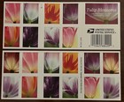      Forever Usps Tulip Blossom Sheet Of 20 Usa Authentic Postage Stamps Spring