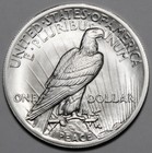 Daniel Carr 1964 Peace Dollar  Brilliant Satin  High Grade  Broken Sword Reverse