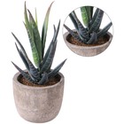 Potted Fake Plant Potted Fake Succulents Artificial Flower Small Plants D  cor
