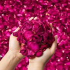 5oz Dried Rose Petals     Red Rose Petals For Bath  Soap  Candle Making
