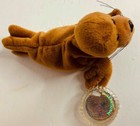 New Coca Cola Coke Walrus Bean Bag Waller Greenland Plush Stuffed Animal Toy 