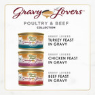 Gravy Lovers Poultry   Beef Feast Variety Pack Canned Cat Food  3-oz  Case Of 90