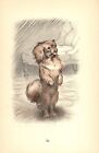 Sweet Vintage Pekingese Print 1930s G L Stampa Pekingese Art Illustration 5956a