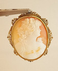 Vintage Antique Carved Shell Domed Cameo Gold Fill Pin Brooch