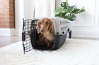 Small Pet Kennel  23  Plastic Travel Carrier For Pets Up To 15 Lbs - Grey
