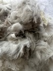 Wholesale Exc Multicolor Fleeces Handspinning Angora Fiber Raw Spinning 12 Oz
