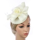 Women Feather Hair Fascinator Clip Wedding Headband Royal Tea Cocktail Party Hat