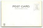 Ship Boat Postcard 199 Ss City Of Chicago G   M Line Steamship Curt Teich Unused