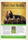 1995 Buick Lesabre Car Auto   Purina Fit   Trim Dog Food 1995 Vintage Print Ads