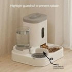 Automatic Feeder Dog Cat Food Bowl With Water Fountain Large Capacity Pet Food S