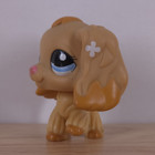 Authentic Lps Littlest Pet Shop Tan White Flower Blue Eyes Cocker Spaniel  1716