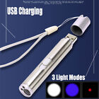 Red Laser Pointer Pen Usb Rechargeable Lazer Uv Light Flashlight Cat Dog Pet Toy