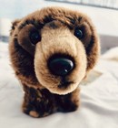 Webkinz Signature Endangered Brown Bear Ganz Plush Wkse3006 W  Sealed Code Tag