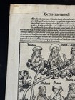 1493 Nuremberg Chronicle Leaf Genealogy Of Christ Woodcut Incunable Xcv