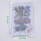 8 Types 46pcs Real Dried Pressed Flowers Leaf Plant Herbarium For Diy Resin J   