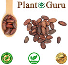 Raw Cacao   Cocoa Beans Whole Chocolate Arriba Nacional Bean 1 Oz To 15 Lb Bulk 