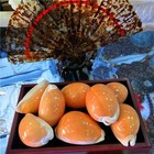 Large Natural Polished Golden Cowrie Seashell Rare Real Aquarium Decor 3-3 5  In