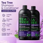Tea Tree Lavender Mint Shampoo And Conditioner Set For Men And Women - 16 Fl Oz